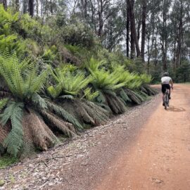 Mt Buller and Mt Stirling Gravel Routes - Mt Stirling Classic Circuit Loop