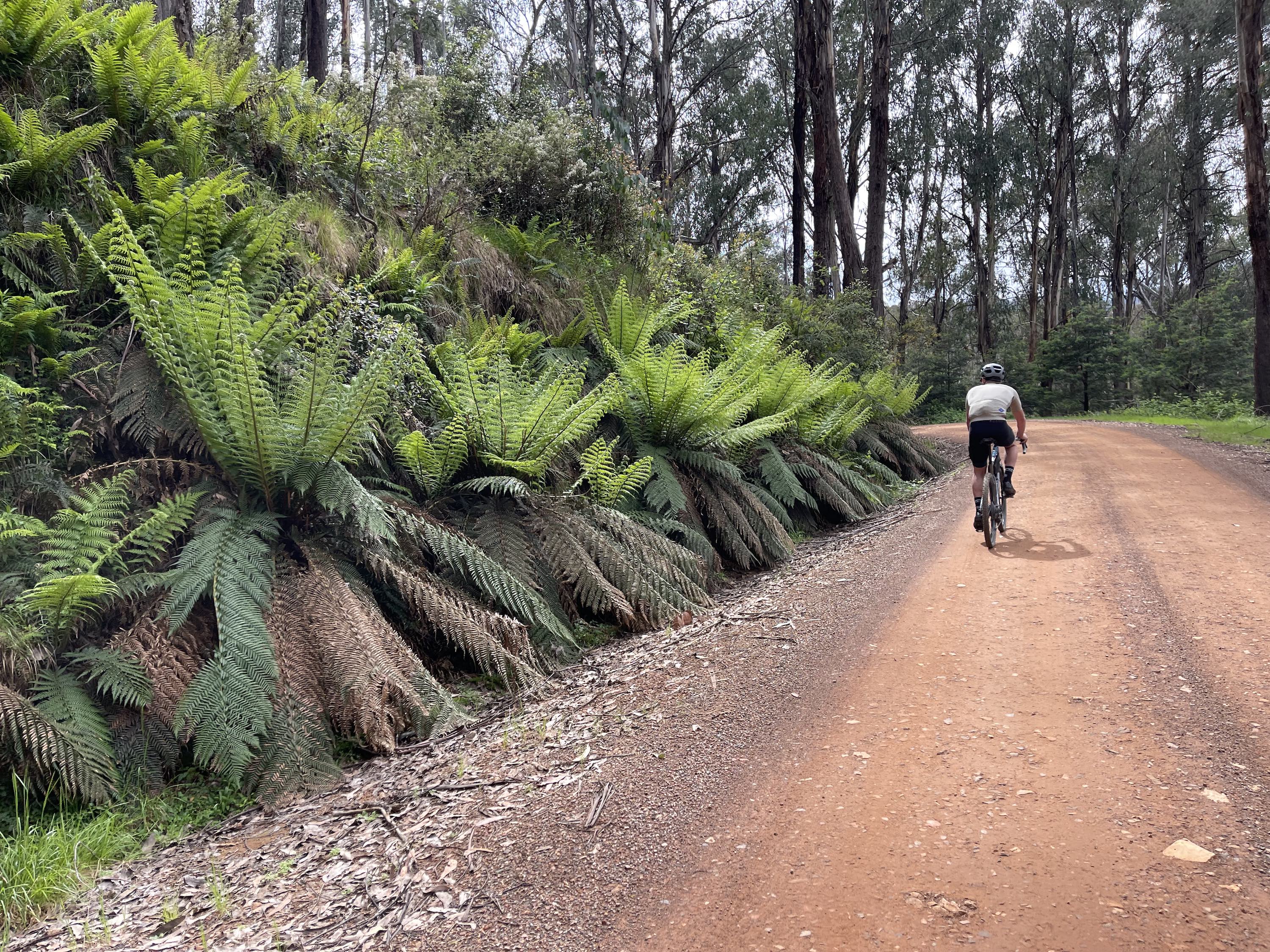 Mt Buller and Mt Stirling Gravel Routes - Mt Stirling Classic Circuit Loop