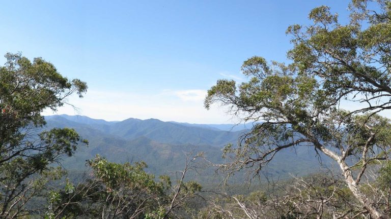 Hiking & Walking - Mansfield Mt Buller, Victoria