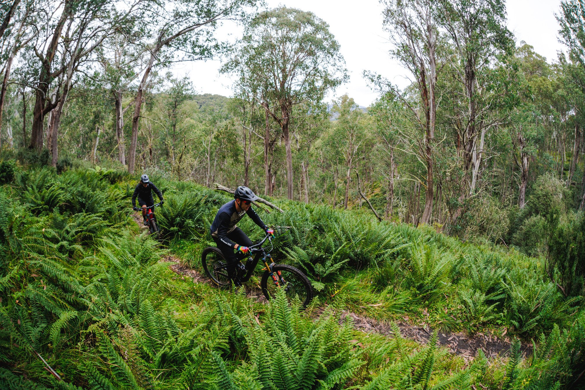 Two cyclists riding through the alpine wilderness on Mt Buller's Australian Alpine Epic trail